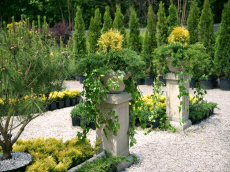 okrasné rostliny jehličnany listnaté stromy zahradní keře