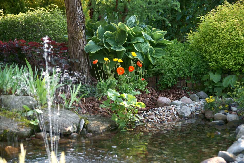 okrasné rostliny jehličnany listnaté stromy zahradní keře