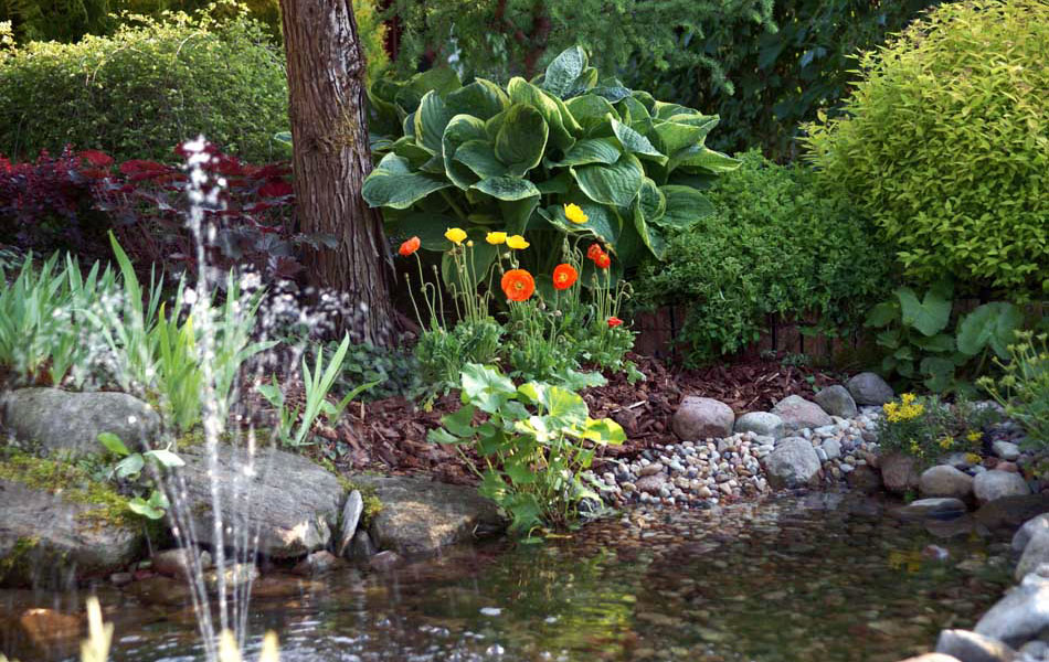 okrasné rostliny jehličnany listnaté stromy zahradní keře