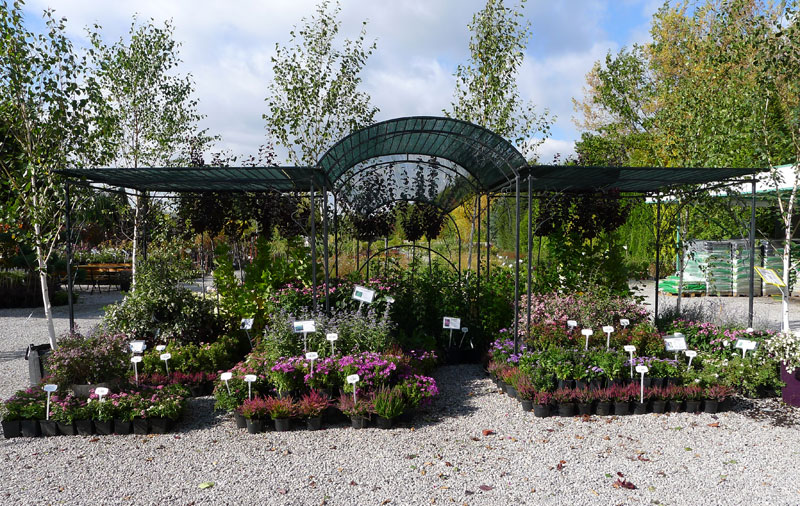 okrasné rostliny jehličnany listnaté stromy zahradní keře